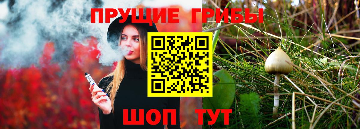 Миллерово  Галлюциногенные грибы Psilocybine cubensis  Вход с VPN 